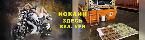 стафф Абаза