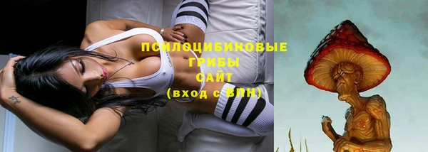 стафф Абаза