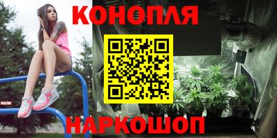 наркотики Гатчина