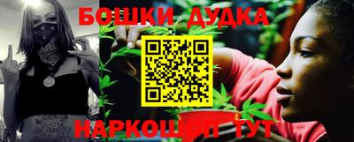 наркотики Гатчина