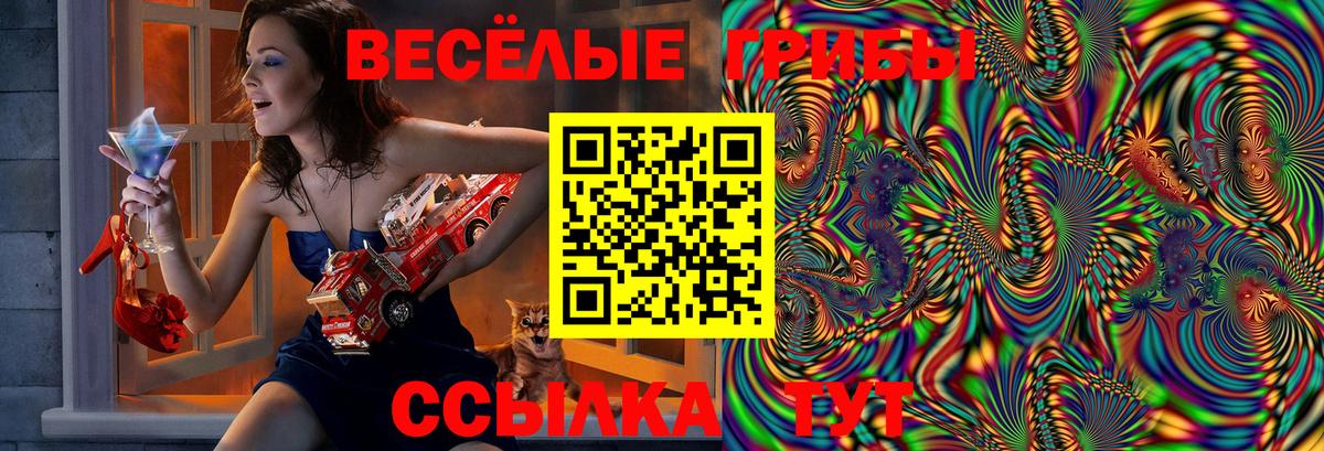 Псилоцибиновые грибы Psilocybe  Вход с VPN  Каменск-Шахтинский 
